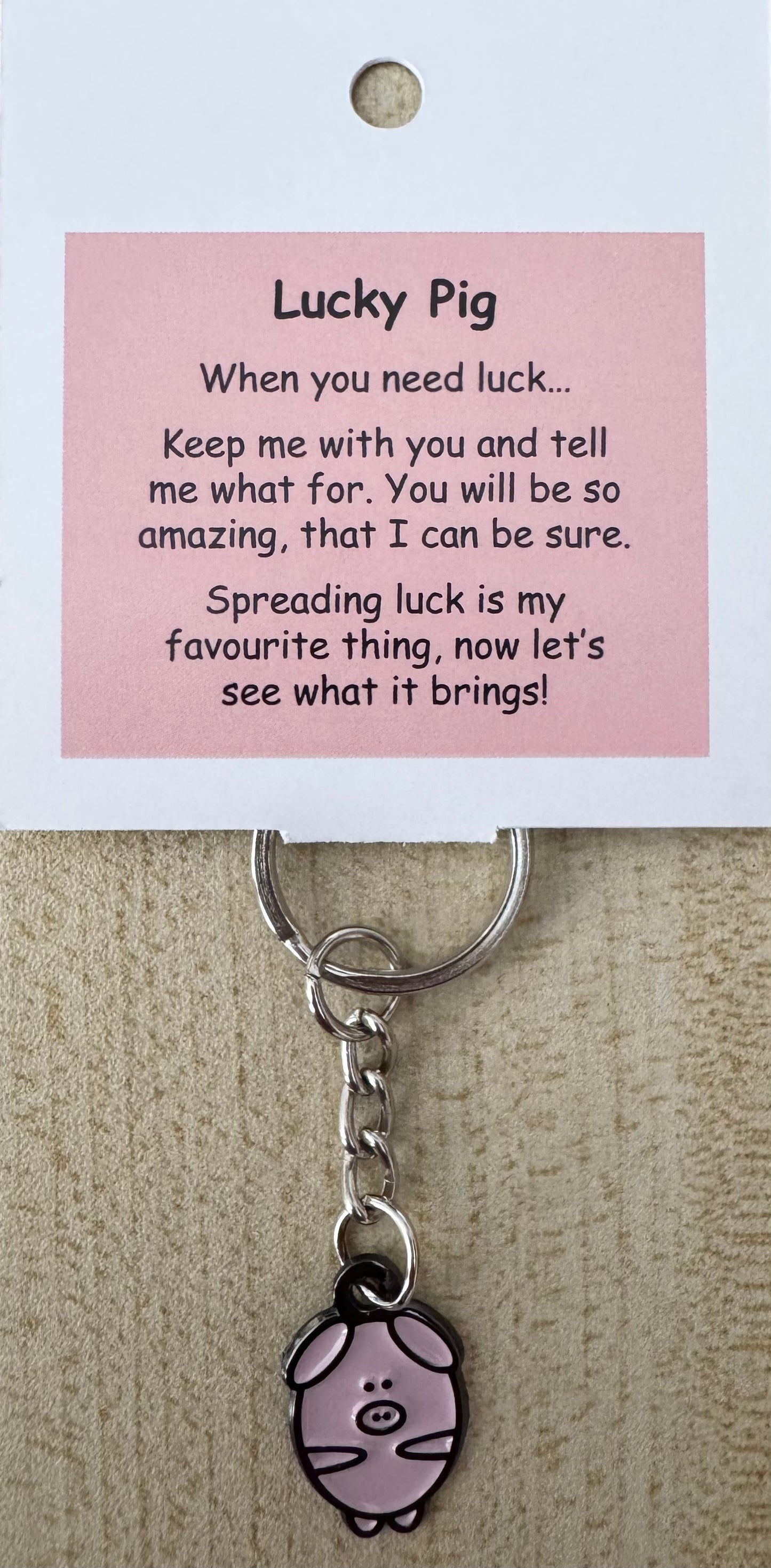 Lucky Pig Keychain For Hook Display