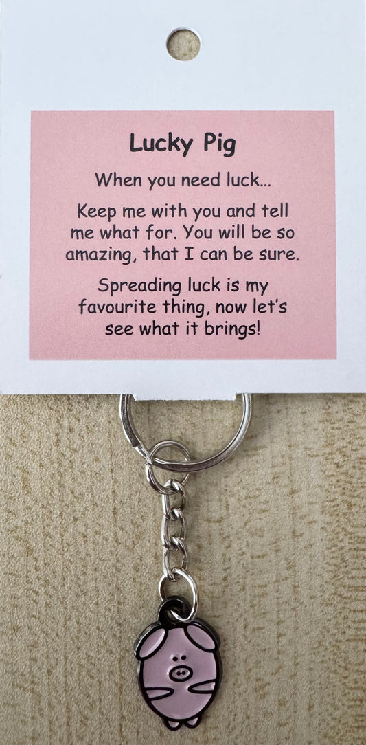 Lucky Pig Keychain For Hook Display